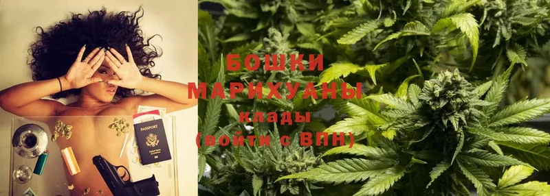 Каннабис Bruce Banner  купить  сайты  hydra маркетплейс  Котовск 